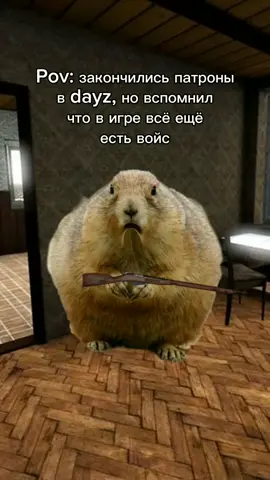 Когда остался без. Тимы #дейз #рекомендации #dayz #дей 