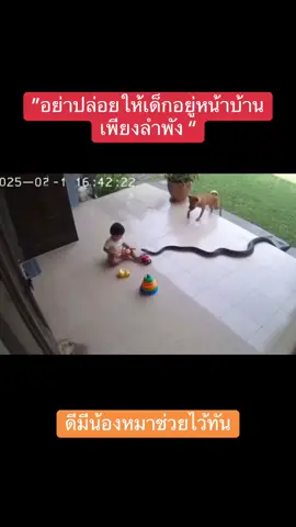 น้องหมาสุดยอดมาก 🙏#โหนกระแส #ข่าวtiktok #ข่าววันนี้ #ข่าวสด #ข่าวสดออนไลน์ 