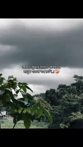 জগত সুন্দর হলেও জগতের মানুষ গুলো বহু রুপি..! ❤️‍🩹 . . . . . .. . . .... . .. .. #caption #ক্যাপশন #সুন্দরক্যাপশন #viralvideo #foryou 