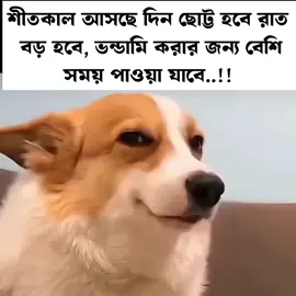 🤣🤣 #fypシ #foryoupage #foryou #viral #