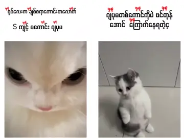 Hok tao malar Mt Call Like Tok 😅🤭😅🛕😅🛕#foryoupage #viralvideo #viwesproblem😌 #ရောက်ချင်တဲ့နေရာရောက်👌 