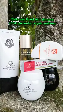 CHALONESE] PAKET BASIC SKINCARE #chalonese #chalonesetoner #chaloneseskincare #dayandnightcream 