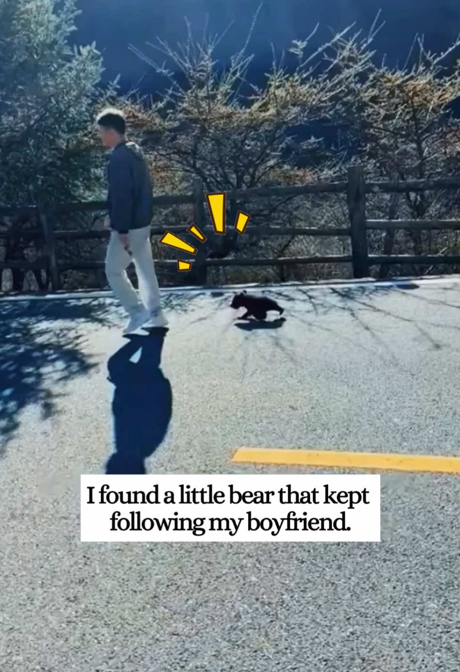 I found a lost baby bear,and then I adopted it.#rescue #animals #fyp #bear #cute 