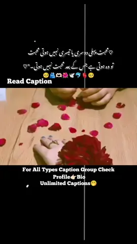 *_GoOd MorNinG_*» 🌞🫶🏻 *_Meri JaNn_*»👉🏻👈🏻♥ *_MeRa JiGra Ka ToTa_»*🫂😩 *_Mera Jan_*»🫶🫀 *_Meri Duniya_*»🥹🌍 *_Mera bachaa_*»🫰🫣 *_Mera ZinDagi_*»🌸♥ *_Ummmmmmmah_*»💋🙈 *_HaPpy HapPy MoRniNg_*»🥹♥️🌍🦋 *آ ســــــــے ...* 🫠🤌🏻 `آغــاز محبتــ تــم ہــو` *ا ســــــــے...😫👀* `انتہــائــے محبتــ تــم ہــو` *بــــ ســــــــے...* 🥹🫂 `بــاب دل تــم ہــو` *تــــ ســــــــے...* 👀🫠 `تنویــر ہــو مــیری` *ثــــ ســــــــے...* 🫶🏻🦋🐣 `ثمــر محبتــ ہــو میــری` *ج ســــــــے... ✨🫰🏻* `جــاں بھــی تــم ہــو` *ح ســــــــے...*💖🌙 `حــادثے ممکــن بھــی ہیــں` *خ ســــــــے...* 🫵🏻👀🫀 `خدشــات محبتــ بھــی تــم ہــو` *د ســــــــے...*🫂🐣🦋 `دل میــں یــہ جــو بیٹھــی ہــے` *ڈ ســــــــے...🌼🌖🫧* `ڈر کــی وہ دھــاک بھــی تــم ہــو` *ذ ســــــــے...💍🫰🏻🫂* `ذره ذره بکھــری` *ر ســــــــے...🥹🖇️🔐* `روشــنائی محبتــ بھــی تــم ہــو` *ز ســــــــے...* 😫👀🤌🏻 `زلفــ تیــری ہــے قاتــل` *س ســــــــے...🫣♥️🎀* `ســاون بــرسات بھــی تــم ہو` *ش ســــــــے...* 🫠🌸💍 `شجــر محبتــ کــی` *ص ســــــــے...* 🤭🌙✨ `صــدا ســے وہ شــاخ بھــی تــم ہــو` *ض ســــــــے...* 😭🫶🏻🦋 `ضــد نــہ کــر جــانے کــی` *ط ســــــــے...*🍻🌼💍 `طبیعتــ ســاز بھــی تــم ہــو` *ظ ســــــــے...🤌🏻💗🫧* `ظــاہری لگتــے ہــو` *ع ســــــــے...😖🔐🫵🏻* `عشــق مــزاج بھــی تــم ہــو` *غ ســــــــے...🤭🫰🏻🖇️* `غــرض ســے بہتــر` *ف ســــــــے...🙈💖✨* `فــرض شــناس بھــی تــم ہــو` *ق ســــــــے...🥺🫶🏻🫀* `قلــم ســے لکــھ رہــا ہــوں` *کــــــ ســــــــے...💍💞👀* `کتــب اغــزال بھــی تــم ہــو` *گــــــ ســــــــے...🎻🍻🌝* `گیــت میــں چھپــے ہیــں جــو راز` *ل ســــــــے...🌏♥️🖇️* `لاکــھ وہ راز بھــی تــم ہــو` *م ســــــــے...🥰🫀🫵🏻* `محبــت ہــو میــری` *ن ســــــــے...👀💖🫶🏻* `نفاستــ ســے پــاک بھــی تــم ہــو` *و ســــــــے...🤌🏻🫧🔐* `وصــل کــی آغــوش میــں آکــر` *ہ ســــــــے...🦋🫂🫶🏻* `بــر آس بھــی تــم ہو` *ی ســــــــے...🫠🌏🌸* `یقیــن ہــو میــرے بھــروسے کــا` *ے ســــــــے...😭🫀🖇️* `یــادوں کــی ســوغاتــ بھــی تــم ہـو` #captions  #fyppppppppppppppppppppppp  #plzviralmyvideoplztiktokteam  #captionreader  #1millionaudition 