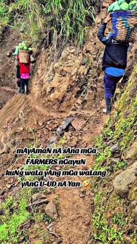 #ballaynians💚 #gardinurse 