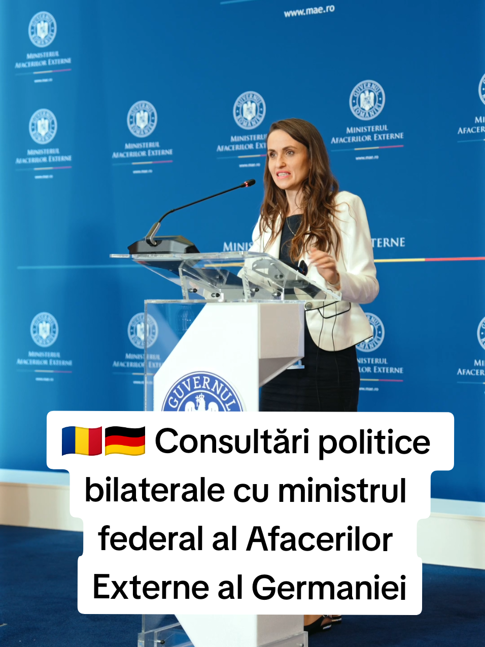 🇷🇴🇩🇪 Consultări politice bilaterale cu ministrul federal al Afacerilor Externe al Germaniei, Johann Wadephul