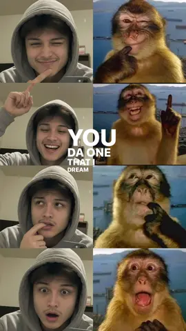Kembaran 🙊 #monkeys #trend #4u #youdaone 