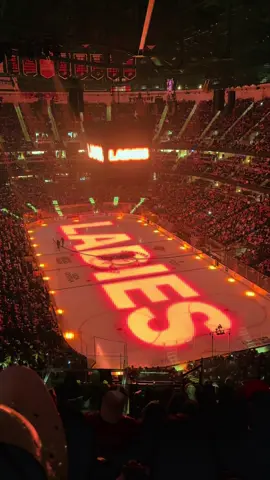Home Opener  #AnaheimDucks #NHL #DucksHockey #HockeyTikTok