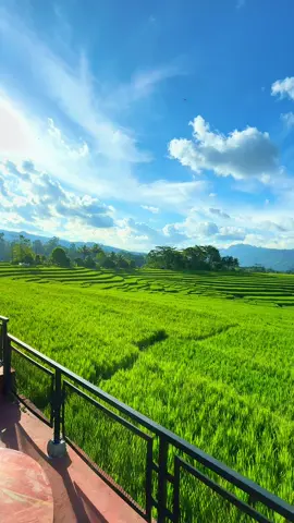 Kalau ke tempat yg cantik usahakan bareng temen yg jago motret yah best, biar gak dapat hikmahnya aja.. #fyp #sinjaibarat 
