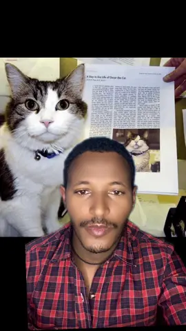 #truestory #ethiopian_tik_tok🇪🇹🇪🇹🇪🇹🇪🇹 #creatorsearchinsight 