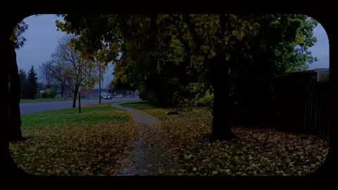 تقدر تاخذ المقاطع وتنشرها في حسابك ✅  استغفرالله العظيم واتوب إليه 🤍 #quran  #قرآن_کریم #قرآن 