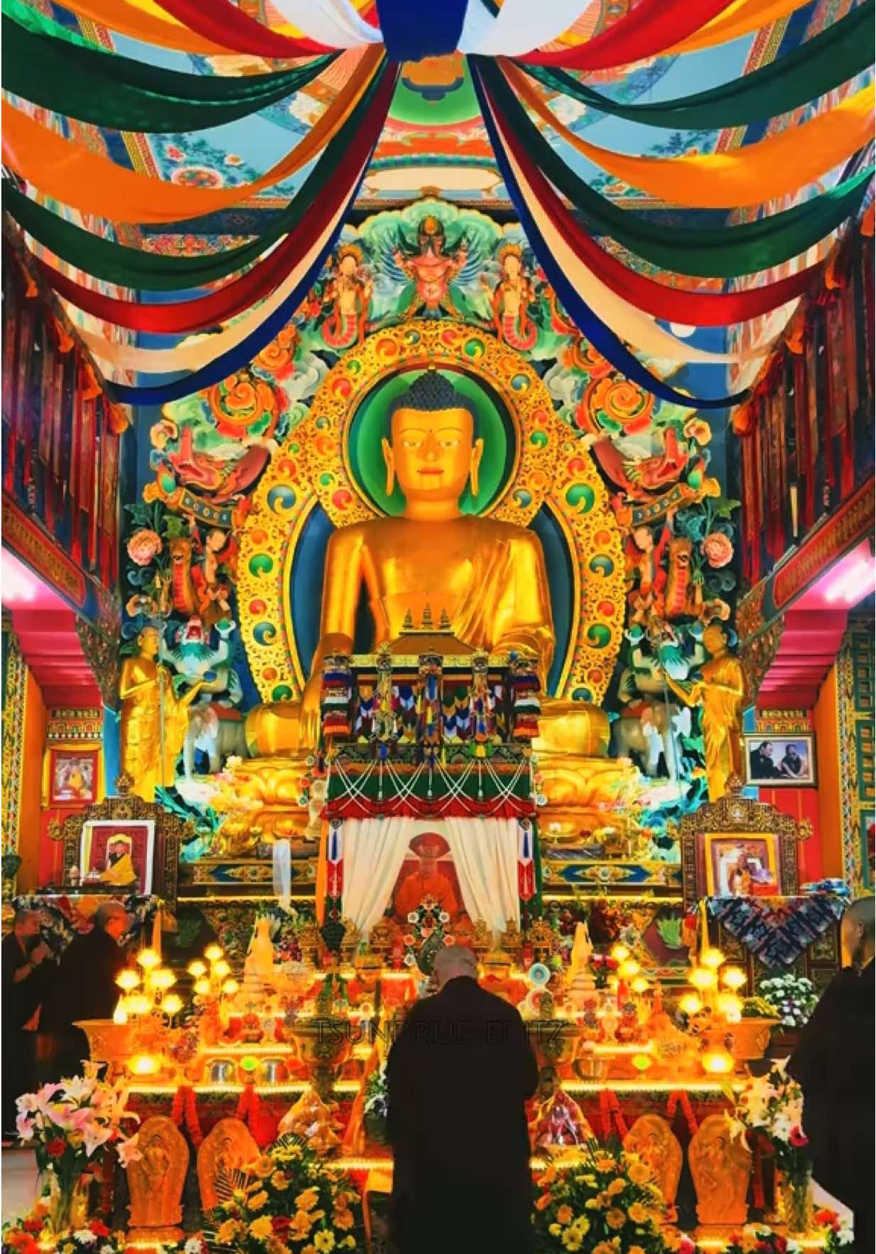 My most precious Root Guru, With hearts full of devotion and tears of longing, we await your swift return. May your reincarnation appear soon to continue guiding us on the sacred path of the Buddha. Your boundless wisdom and vast compassion are the light that dispels our darkness. Until you return, our prayers, love, and faith remain unshaken— May you swiftly come back for the benefit of all sentient beings. 🙏 #sherabgyaltsenrinpiche 