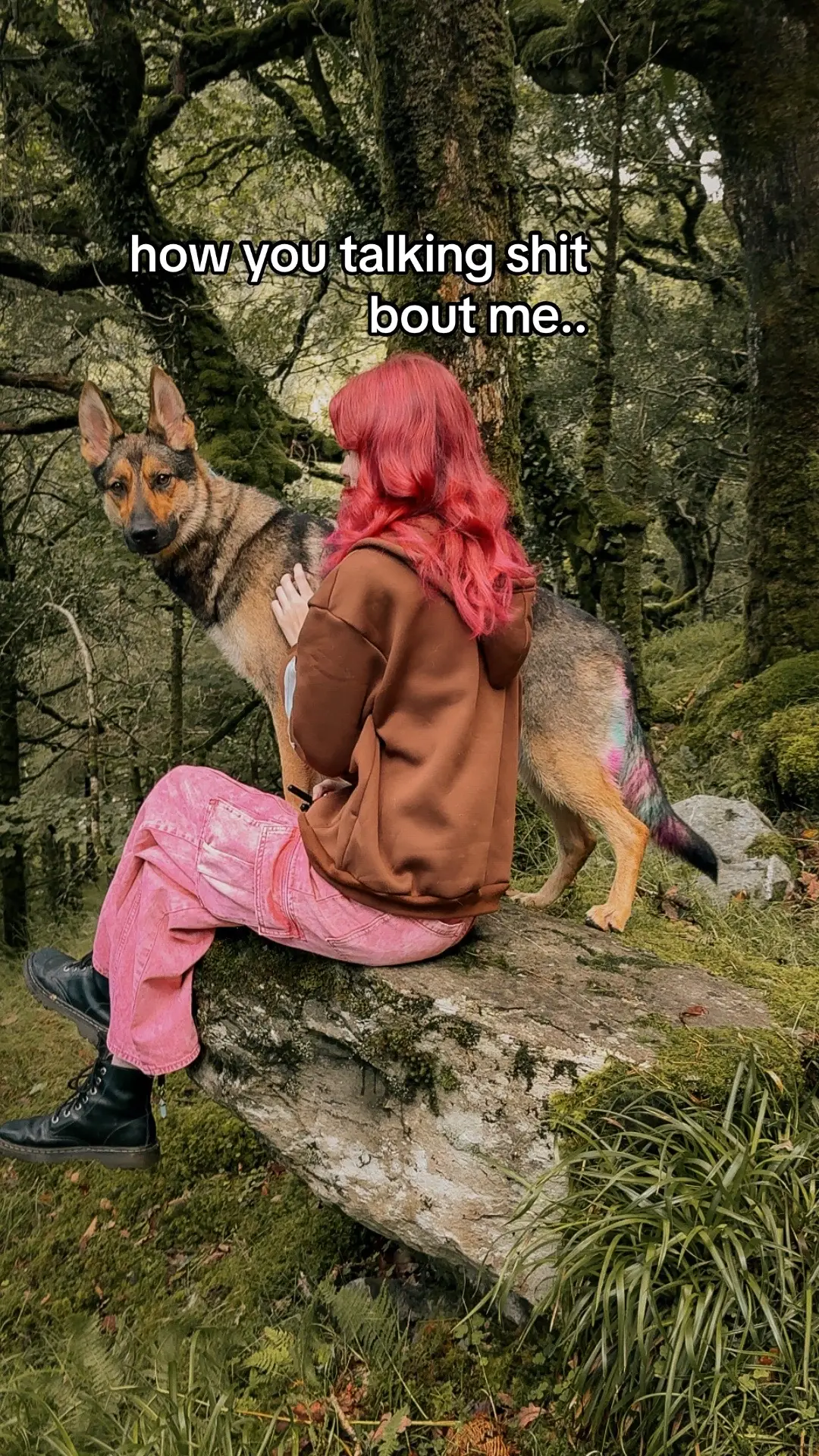 she’s always stunning on them 😍 #dogoutfit #wildcaughtkipper #gsd #germanshepherd #dogsports