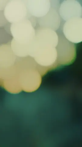 #capcutvelocity #capcut_edit  الجنه تحت اقدام الامهات #CapCut 