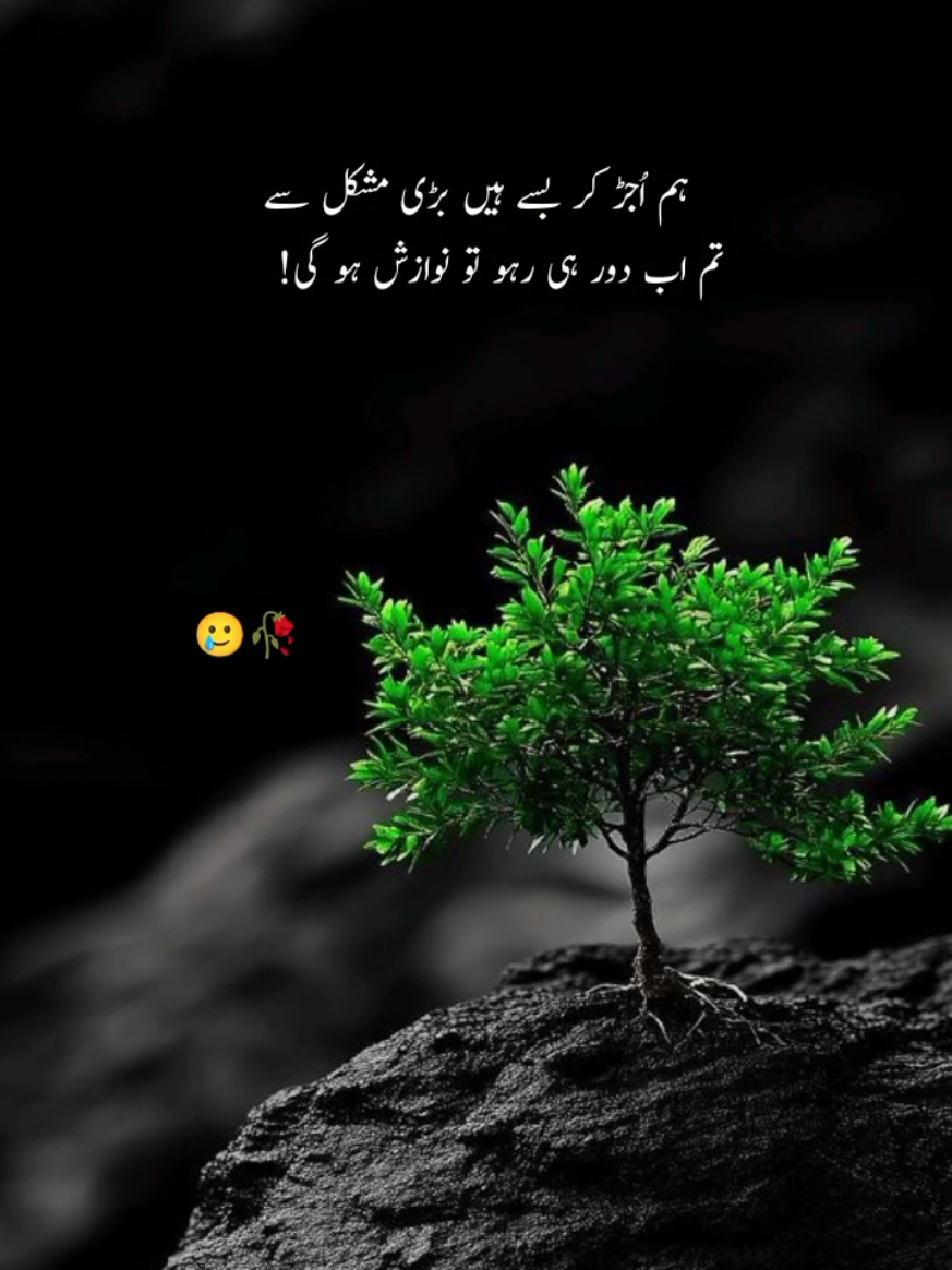 Plzzz🥲🥀#foryou #foryou #foryou #millionviews #foryoupage 