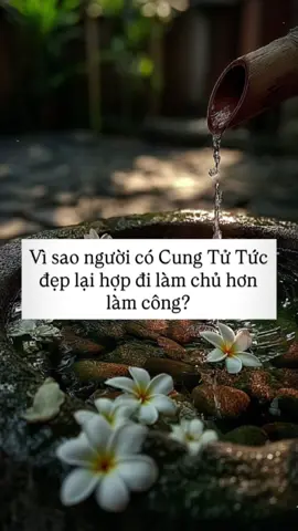 Tất nhiên xem chủ to hay chủ nhỏ còn phụ thuộc vào nhiều yếu tố. Cung tử tức của bạn có các sao gì?  #tuvisomenh #tuviphongthuy #tuvicoccoc #kienthuctuvi #viral