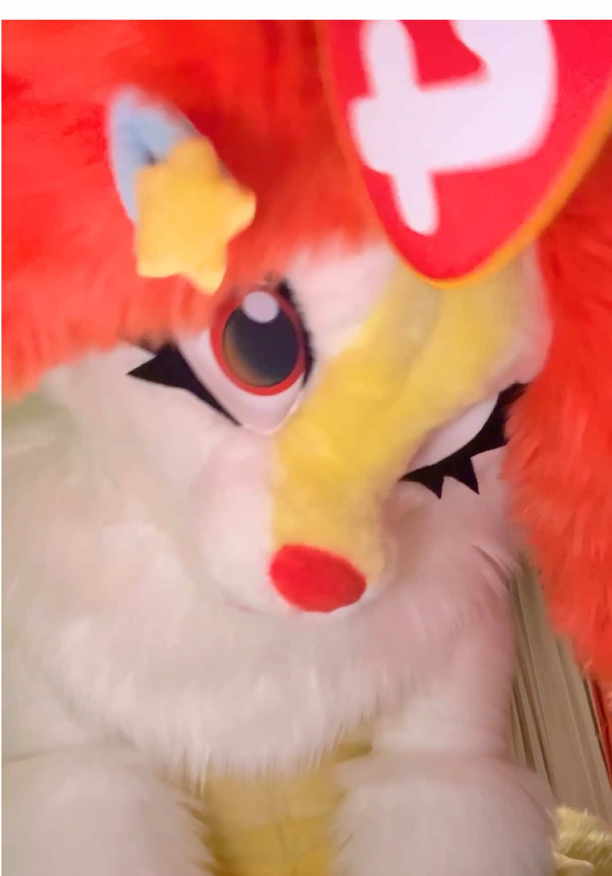 Braixens sleeps on your chest ASMR