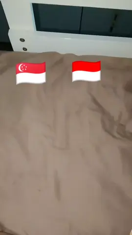 aku bikin pas dollar naik ya,mohon maaf kalau sekarang sudah turun lagi🙏#draft #tkwsingapore🇮🇩🇸🇬 #fyppppppppppppppppppppppp #iyem💜 