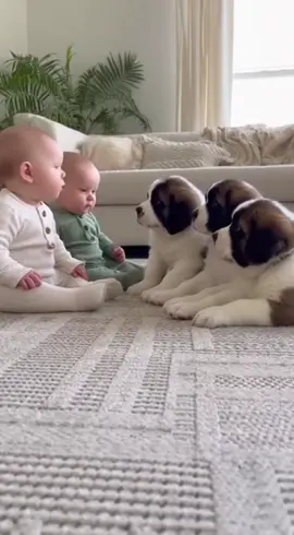 #dog #cutebaby #funnytoddler 