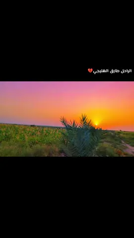 #طارق_ #الهليجي💔😔 #تصويري_احترافي_الاجواء👌🏻🕊😴 