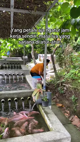 Kata-kata iki marakne aku tambah semangat 😅