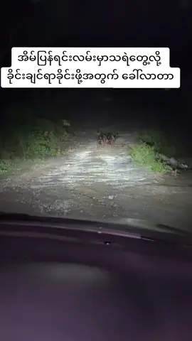 #VoiceEffects #ရှမ်းဆရာမနွယ် 