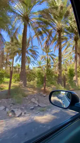 #عنت_علي_ديرتنا #تصويري #بغداد #قناتي_تليجرام_بالبايو💕🦋 