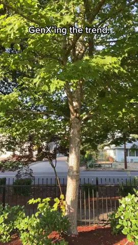 #onthisday #degeneratex 