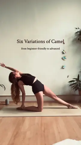 Here are six variations of Camel / Ustrasana. A wonderful asana to deepen your save backbend through a strong and  flexible core and hip flexors 🦋 #yogapractice #ustrasana #camelpose #yogacamel #cameltraining 