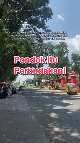 Lucu ya, yang gak tau apa-apa soal pondok malah banyak bicara soal pondok. Padahal sekali jatuh cinta pada pondok, maka enggan keluar dari pondok. #alrifaie2 #pondok 
