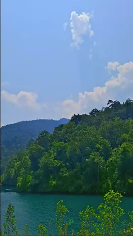 pertamakali kesini tapi tidak dapati buanyanya🐊 #fypp #luwutimur #sungaibalambano #sorowako 