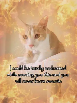 i could... #meme #relatable #rizz #couple #cattok 