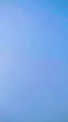 @𝔂𝓸𝓾𝓻𝓼 𝓽𝔂𝓫 ✨🦋 