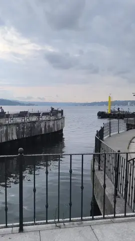 #ferditayfurhayranları #istanbul948 #günaydınlar🥀🥀🌹🌹🕊🕊🤲🤲 #sariyer 