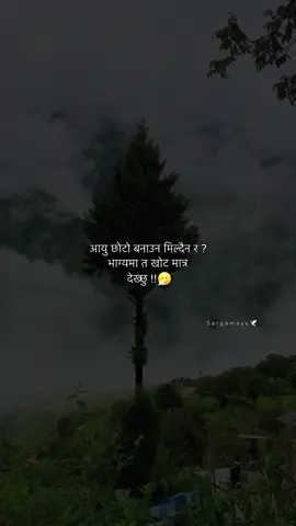 ?? 