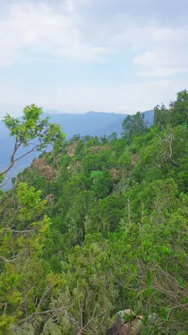 #مليون_مشاهدة❤  #السعودية🇸🇦  #هاشتاق ابوملاذ #قمة السودة