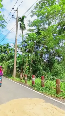 #outfit hijab color orange #foryou #trending #viraltiktok #tiktok 👍🥀👍