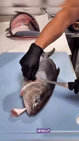 #letscut  #fish #fresh #fishing #meat #knifeskils#sharpknife#cutting#fishmonger#fishfillets#knife#cuts#audit#viral#videos#trending#letscut#knifeskils#tuna##fish#fishing#fresh#meat#today#sharpknife#cuttingskils#meat#slmon#wild#sea#Foodie#sad#today#viral#whinlvc#fyp#latestshorts#newshort #trending #4u