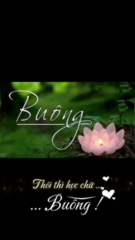 #CapCut Lữ khách ta bà 🪷