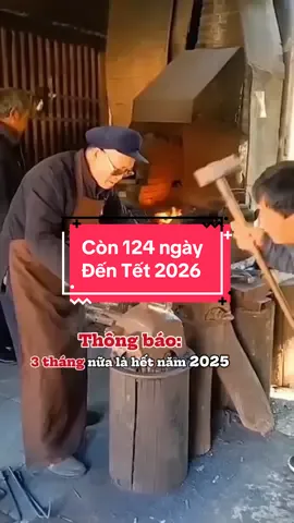 Sắp được về quê đón Tết rồi 🧧🌼🌸🪭  #tết2026 #videotrending #thanhthoiluottet #nhactet #tetnguyendan 
