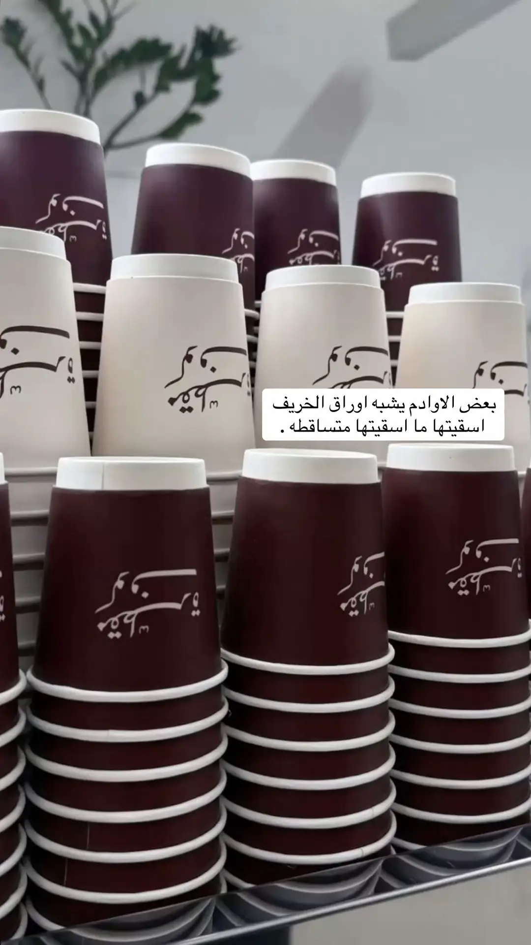 #الدوادمي 