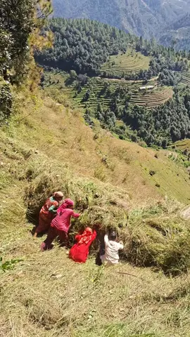 #alonegirls✌💔😔 #nepalitiktok #govviral🦋🌈 #everythingfamly❤️🦋 