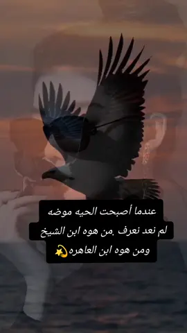 #fypシ゚ #fypage #tiktok #اكسبلور #مالي_خلق_احط_هاشتاقات🧢 