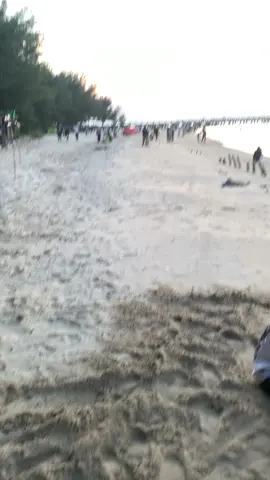 🏝️ #foryoupage #tuban24jam #pantaidermagatuban #foryou #fype 