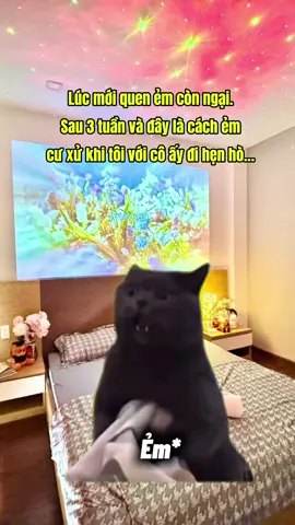 nhân cách thứ 2 của ẻm 🫣 #tphomes #homestay #xuhuongtiktok #fyp #cat 