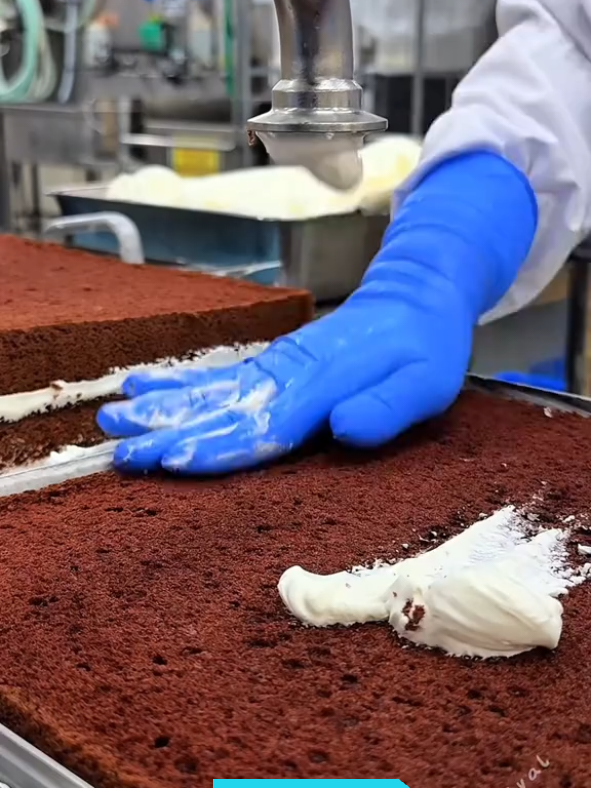 Do you want to Travel and work in abroad, If Yes, What Are you waiting for …NGO’S from Canada are here to help your dream come reality. We help you get your Visa,Flight, Tickets, And Accommodations Free And You will Take 1 year Back to pay when you started working in Any Country you are Being sent to. Please Call on 0545711975 now to Apply For our work and pay program now. Thank You. #goviral #fyp #creatorsearchinsight2025 #fyppppppppppppppppppppppp #ghanatiktokers 