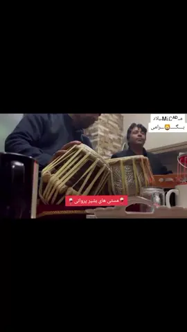 🍹محلی بشیر پروانی🍹 🍓حمایت لایک فالو🍓 #محلی #خراباتی #پروانی___________دیزاین🖤🤍💚🦁 #افغانستان #تیک 