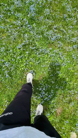 🙂‍↕️🌺#exploringswat #explore #kalamvalleyswat #chukailbanda 