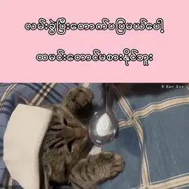 ဖွီး🥺😅#fyp #🧠🧠🧠🧠💯💯❤🖊📖📙📚 #လွမ်းတယ် 