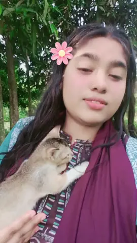 #কুমিল্লার_মেয়ে 